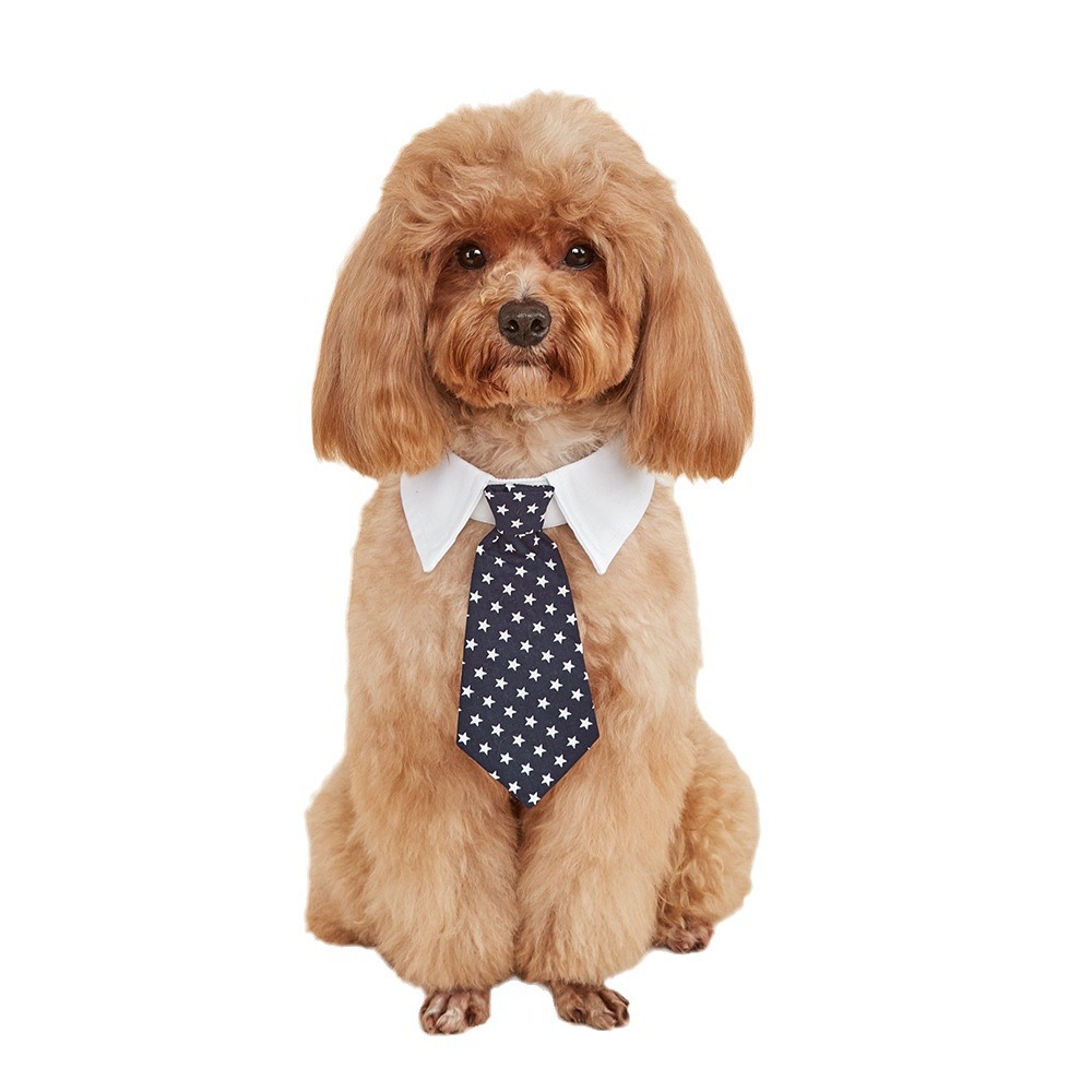 TANPOPO spot transfronterizo nuevos productos pentagonal guapo perro corbata velcro ajustable corbata de mascotas