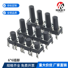 6*6_p|_P_΢ӰI 늴Št΢ͰoС΢p|