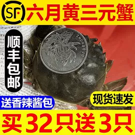 月饼;传统糕点;软糖