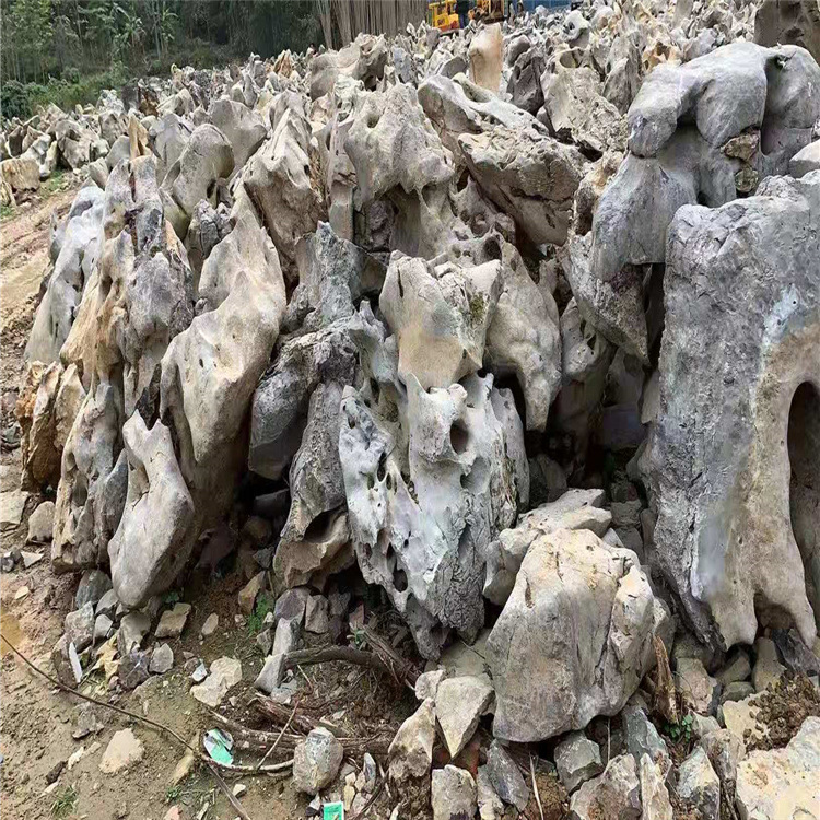 太湖石庭院花园规划工程造景假山奇石灰白太湖石