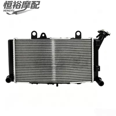 Suitable for BMW F750GS F850GS Adventure cooling radiator water tank assembly 19-24 years (Water tank) - export-quality-water-tank