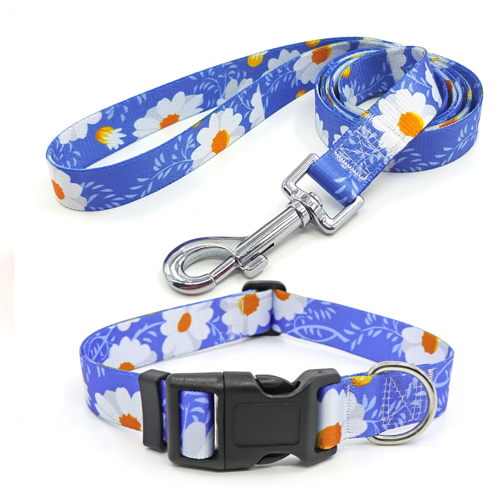 Amazon al por mayor collar de mascota corda de tracción al aire libre paseo perro collar perro collar en el viento