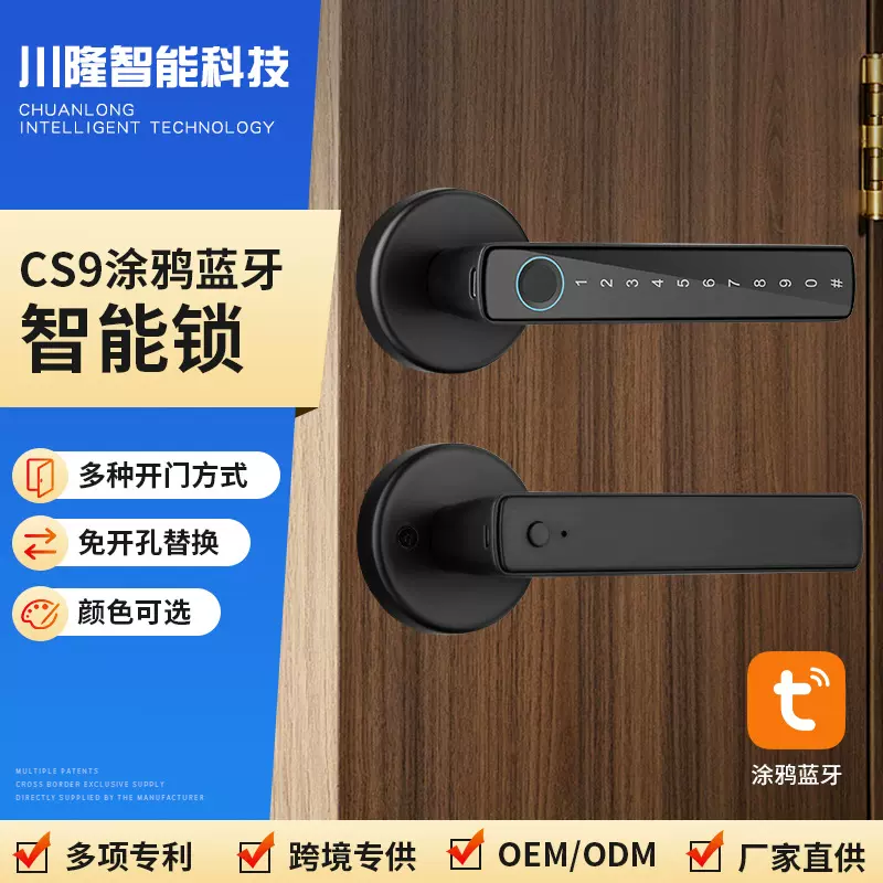 跨境热销智能把手锁涂鸦蓝牙指纹锁室内木门办公室智能静音锁