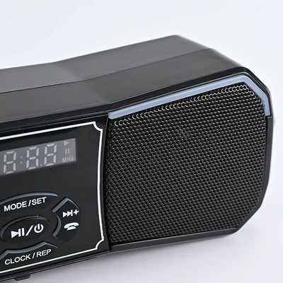Speaker Radio, Car speaker/subwoofer