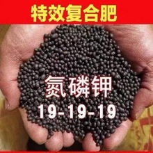 ʷ�����ͺϷʻ��ʻ��ʵ���⛾Gֲ���仨�ܠI�B����������ͨ��