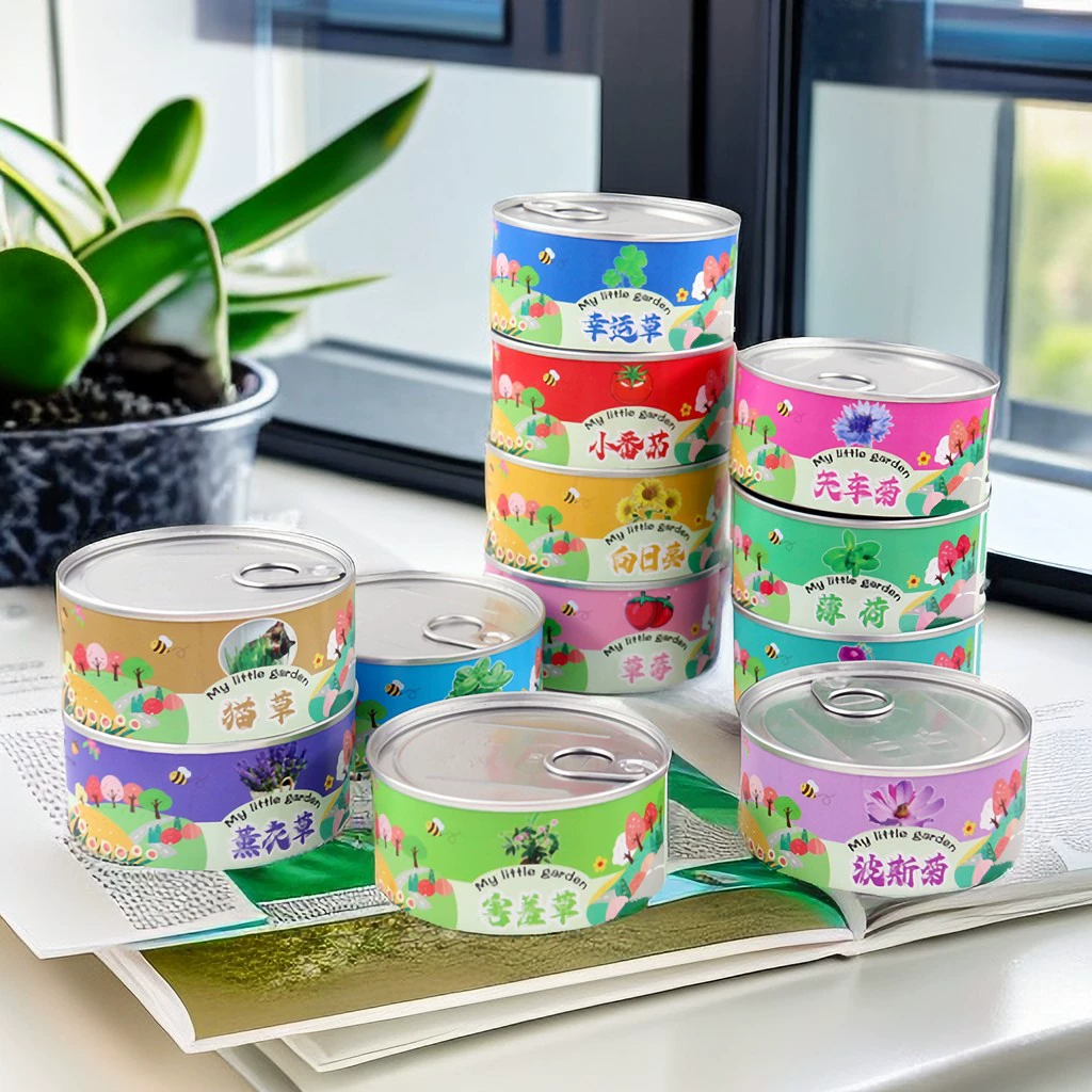 Плоская консервированная ленивая кошачья трава в горшках, удобное выращивание кошачьей мяты, закуски для домашних животных, пшеничная трава, ржавая трава, гидропоника