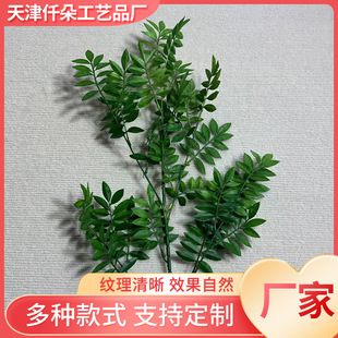 �S�����l����Gֲ�������~��횲ݴ�����Y���b廨����ֲ��