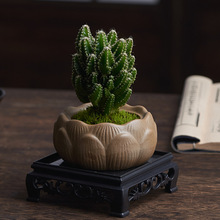 �����������f��ɽ���������ֲ�ﻨ������Gֲ΢���^�҃Ⱥ��B�[��