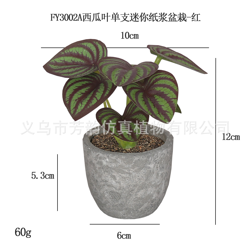 Mini Planta Artificial en Maceta de Pulpa de Plástico para Decoración del Hogar y Escritorio image 9