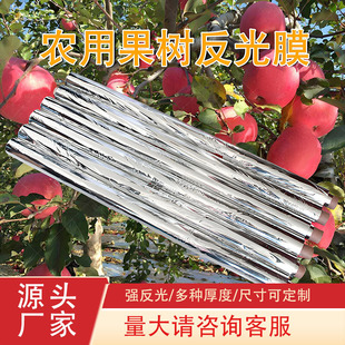 Agricultural Greenhouse Insulation Reflective Film Vegetable Warming Plastic Warm Greenhouse Film Apple Tree Pet Aluminum Film