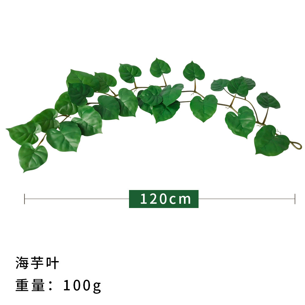 120 cm de caña de hoja de batata