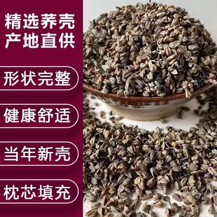 �����w�������S�����l�����w�����Ƀ��o�s �w������M ���M�Ę�