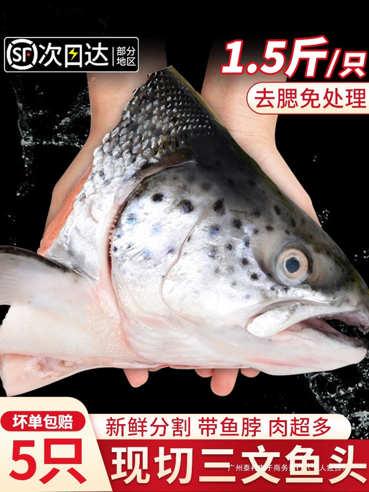 三文鱼头新鲜冷冻超大深海鱼头三文鱼边角料人吃烧烤煲汤海鲜水产