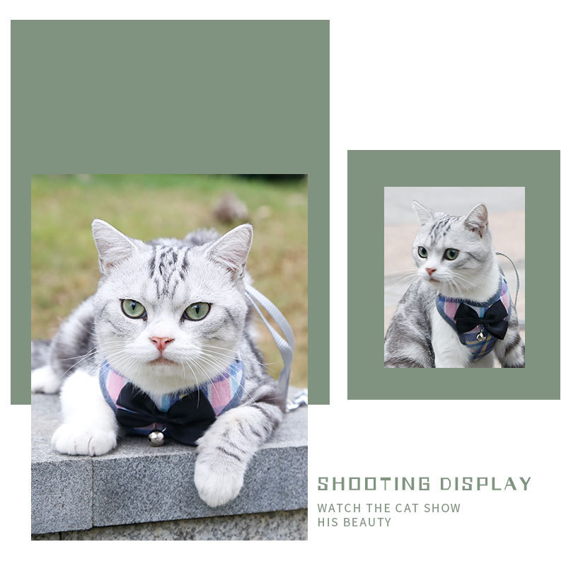 Dog Leash Variation