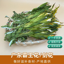 广东特产霸王花干  生晒剑花干货青绿霸王花青花广式煲汤料批发