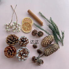 �ɹ���޹�U�㱭�����ɹ��ɻ��}�Q�b�DIY�Ĕz������Ȼ�ֹ�������