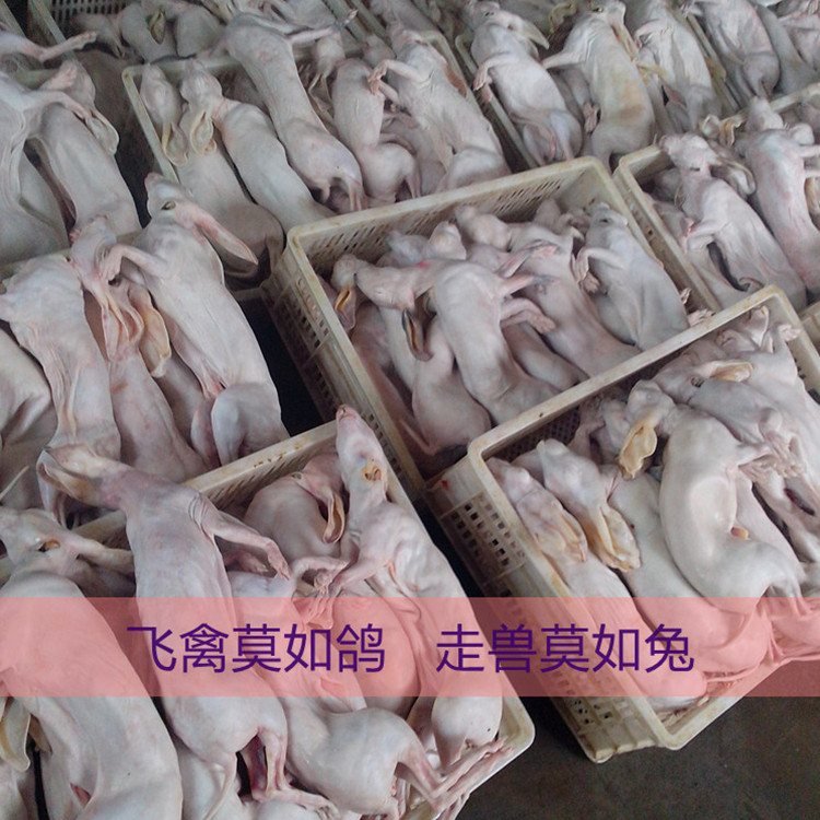 IMG_20130123_101951 (2)_副本_副本_