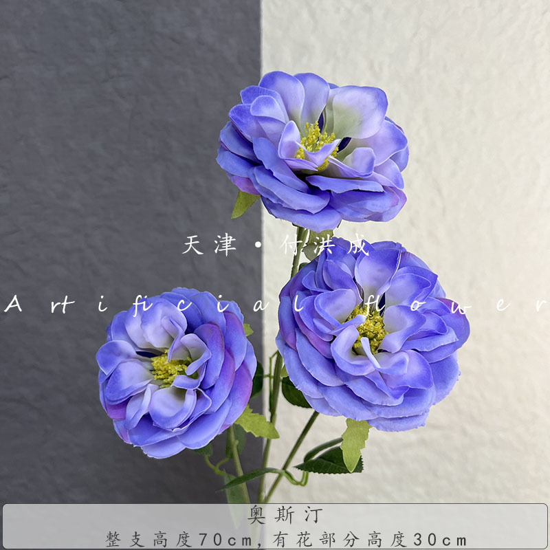 3개의 머리 오스틴-파란색과 보라색