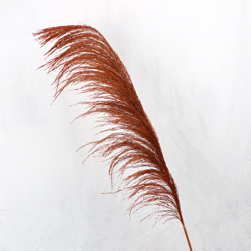 오렌지 꽃 스파이크 50-60cm