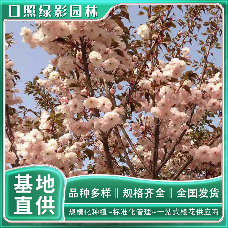 微信图片_20230211104127 副本.jpg