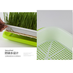 ѿ�������Pˮ���̨�o�������S��ֱ�N��ѿ���ϷN��������ˮ����