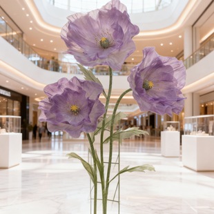 �z�I���滨��z���ֹ����ͼ�����c��̨���߲��ÔzӰ������ꐔ[��