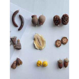 ��Ȼֲ����h�����������ɹ�diy�ֹ����ӄ��₀�Զ�����ֲ��