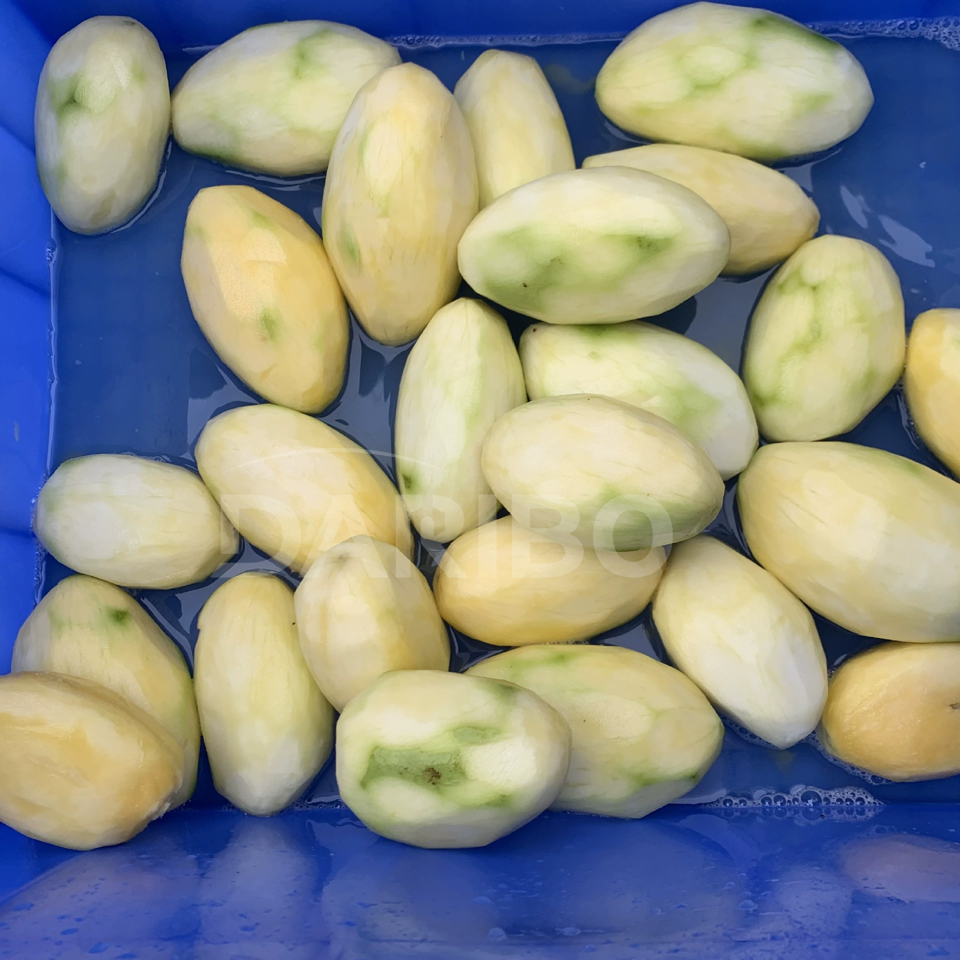 L Оборудование для очистки картофеля барабанный