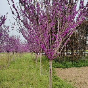 �������G�����؅��������G�������½��G����ľ�_����