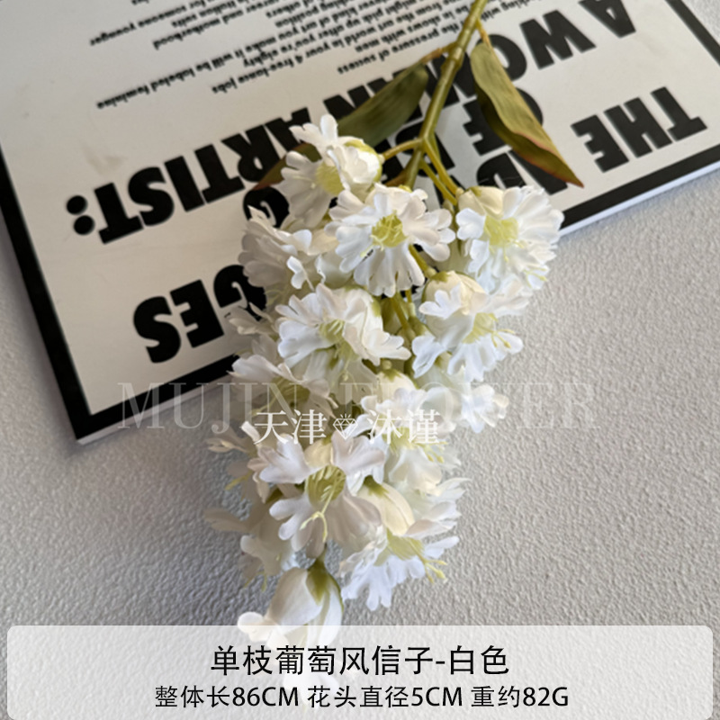 포도 히아신스
