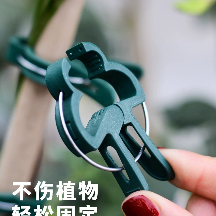 Зажимы для садоводства через границу, зажимы для фаленопсиса, зажимы для растений, зажимы для растений-томатов, пластиковые зажимы