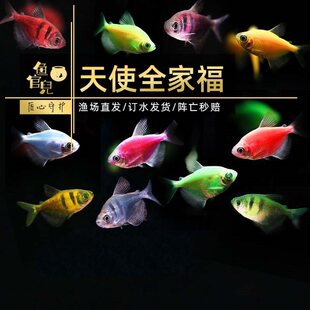 �~�ك������~�ɹ���ʹ�~��ˮ�Ꭷ�^�p�~���B�׻��ȹ����ϻ���ʹ