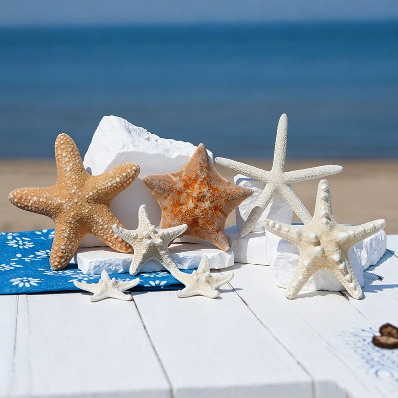 Manufacturer wholesale natural starfish, giant starfish, bun starfish, finger starfish, flat starfish for children's craft decoration Manufacturer wholesale natural starfish, giant starfish, bun starfish, finger starfish, flat starfish for children's craft decoration