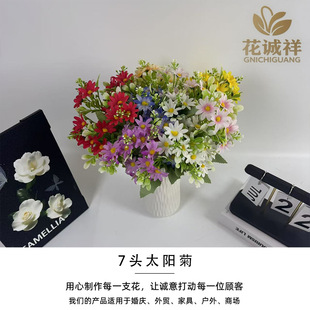 ���滨̫ꖾ�С�ѻ���ʾտ羳�������Ҿ��b����ϻ��[�����յ���