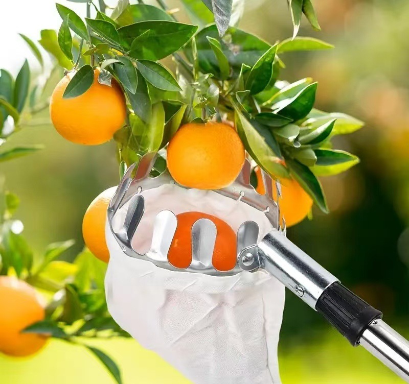 O1CN01SIVMXS1pB4VqiRfb6_!!2218972665321-0-cib.jpg?__r__=1744073798564