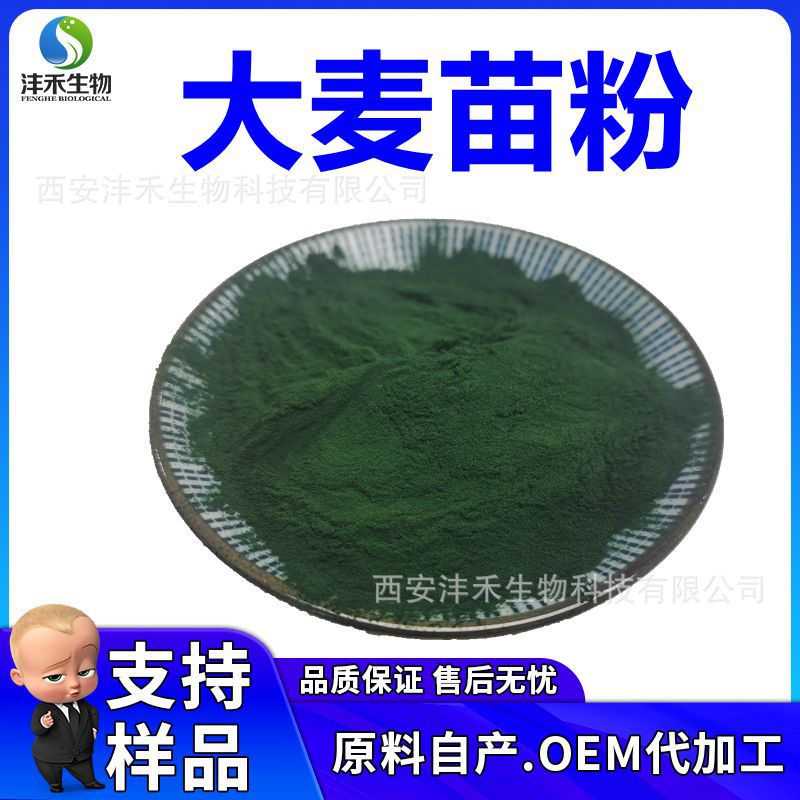 大麦苗粉 麦苗提取物 大麦若叶青汁粉 速溶 脱水麦苗粉 麦苗粉
