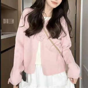 �n������L���w����ᘿ��_��ë���OӋ����2025�¿��L������ᘿ���