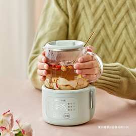 小熊养生壶全玻璃YSH-F04E1小型办公室1人迷你煮茶器燕窝壶电炖杯