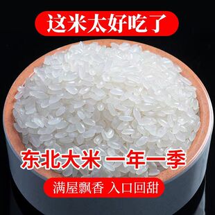 �|����������������ؕ��5��10��С���L�����׮�������