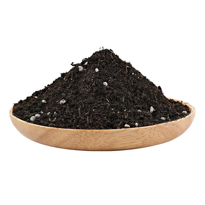 Питательная почва для выращивания цветов