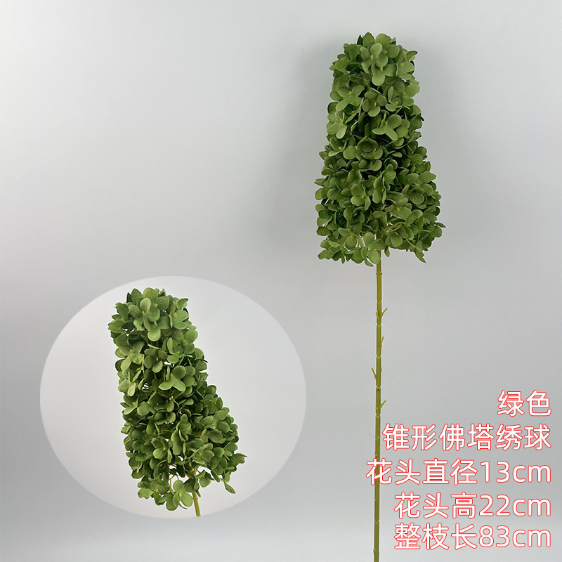 Hortensia de la pagoda cónica - verde