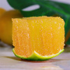 云南冰糖橙产地现摘现发新鲜橙子香甜多汁冰糖橙一件代发批发|ms