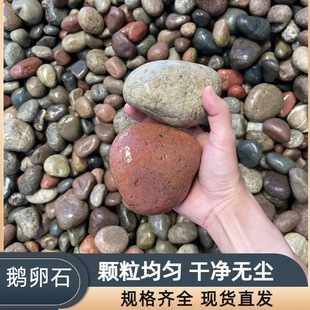 ��ɫ�Z��ʯ׃�վ�V��5-8���׺���ʯ���^�Ӟ�ʯ�·����ʯ���ʯ