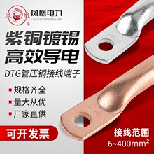 凤凰管压式接线端子DTG/101625355095120线鼻子紫铜线耳铜鼻子