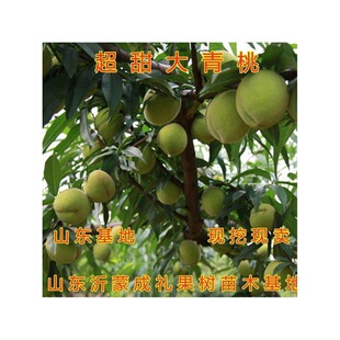 ��������Ҙ���޽�����ˮ�����S�Ҷ������Ҙ���������ϱ����Nֲ