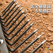 ���r�ð��ӷN���������X�r���Fᔰ��i䓓��ݰǲݹ��߳��ݴ�ȫ