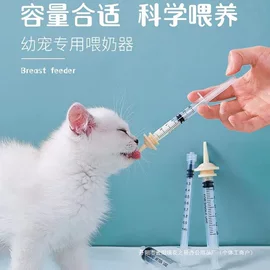 饰品配件;其他婚庆用品;教学演示用品