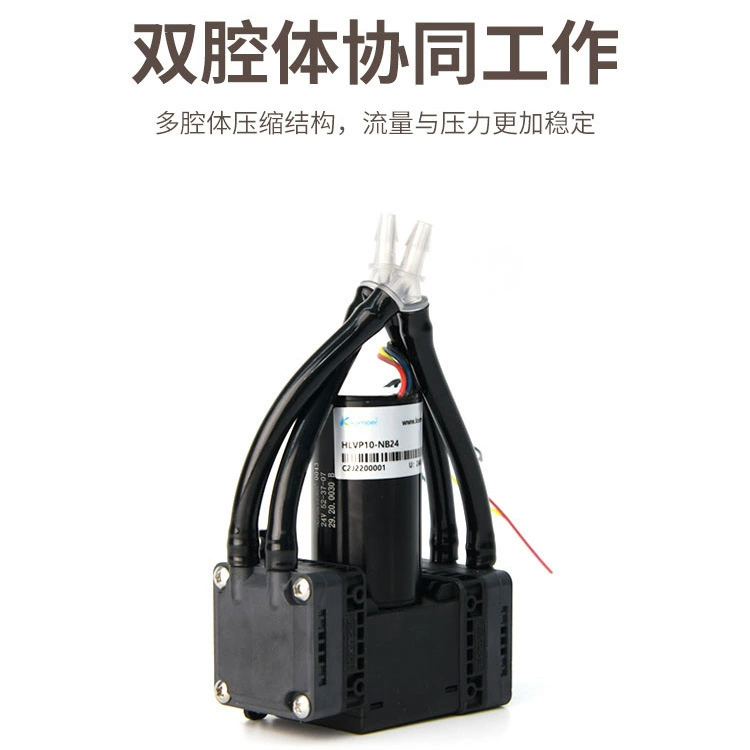 HLVP10 большой расход небольшой электрический мембранный вакуумный насос промышленный анализатор насос для отбора проб насос всасывания