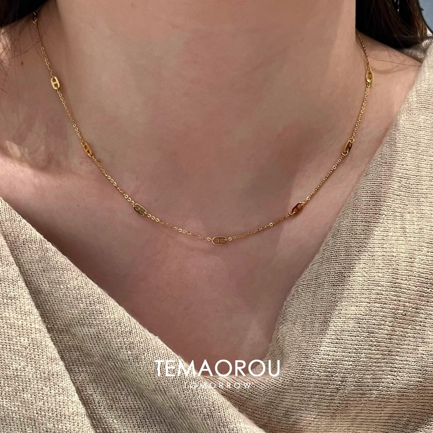 High-End Pig Nose Thin Necklace for Women 2025 New Commuter Versatile Exquisite Necklace Choker Accessories