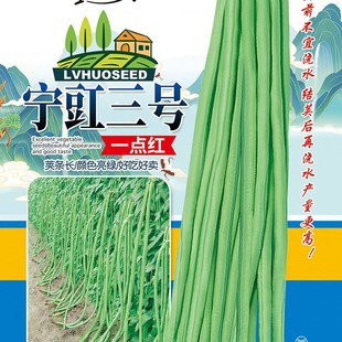 ���ⶹ�ǷN�� �L���ǲˈ@�r�ҷN�˶��N�� �̨�����ļ����N